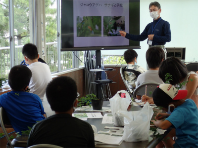 「ジャコウアゲハとウマノスズクサ観察会」終了しました!_f0203094_15031445.jpg