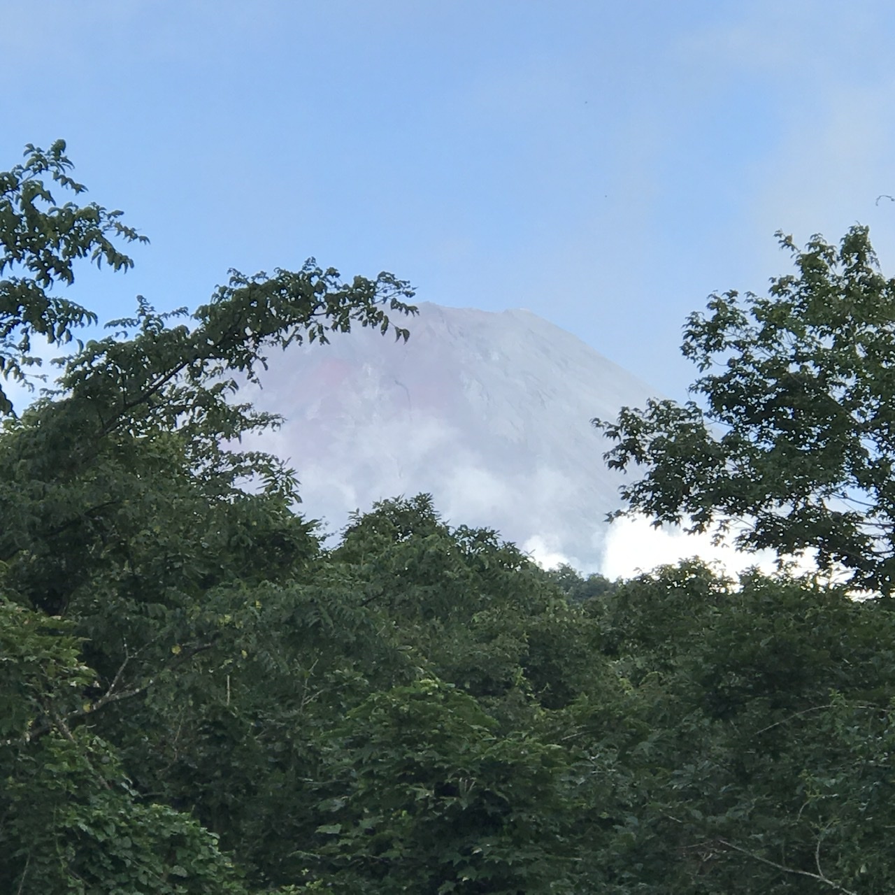 富士山ぐらし、はじまりました。_f0214595_17062743.jpeg