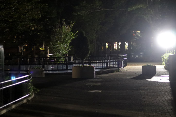 秋の夜長の自然文化園2019⑨~閉園間際の風景と動物たち_b0355317_20341831.jpg