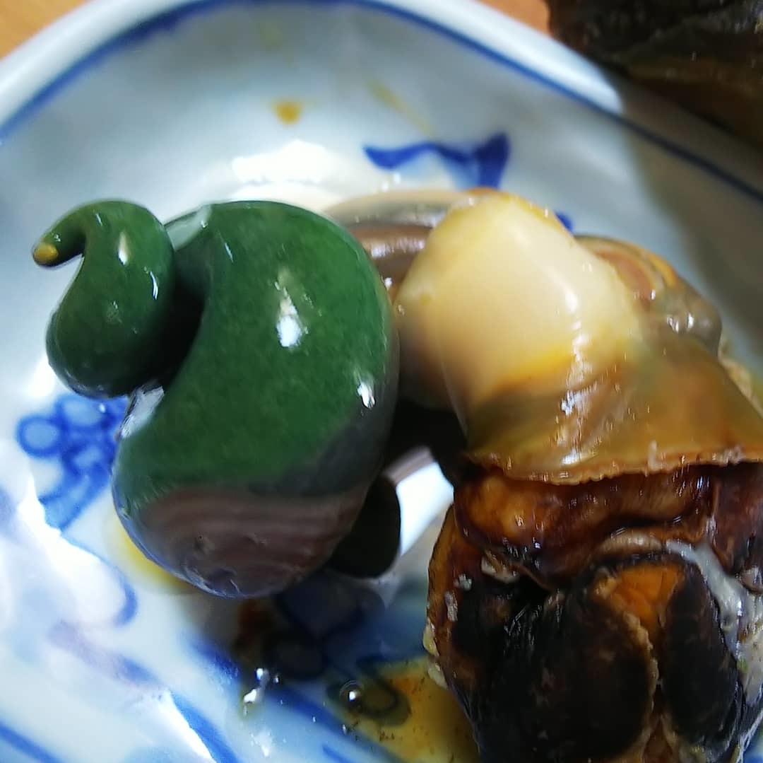 サザエ_a0098418_00031460.jpg