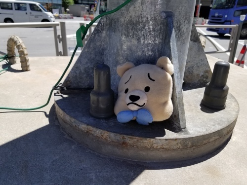 暑さで不機嫌です_e0016828_11102512.jpg