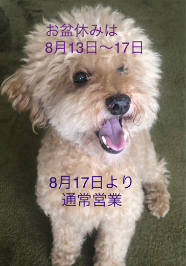 お盆休み_e0187233_11081375.jpg
