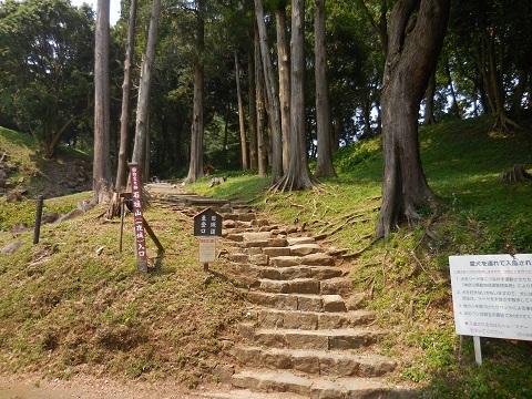 海と山と城と_e0033570_19520343.jpg