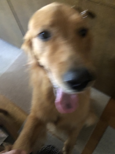 ほんの一コマ。_a0394574_15144693.jpeg