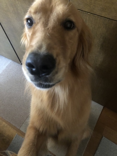 ほんの一コマ。_a0394574_15181204.jpeg