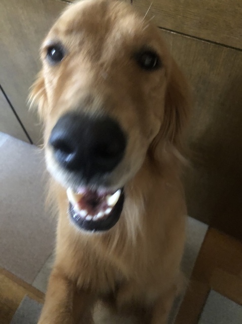ほんの一コマ。_a0394574_15194741.jpeg