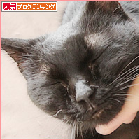 ヒナのその後_a0389088_15401841.jpg