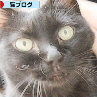 ヒナのその後_a0389088_15401871.jpg