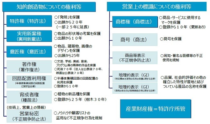 所有財産