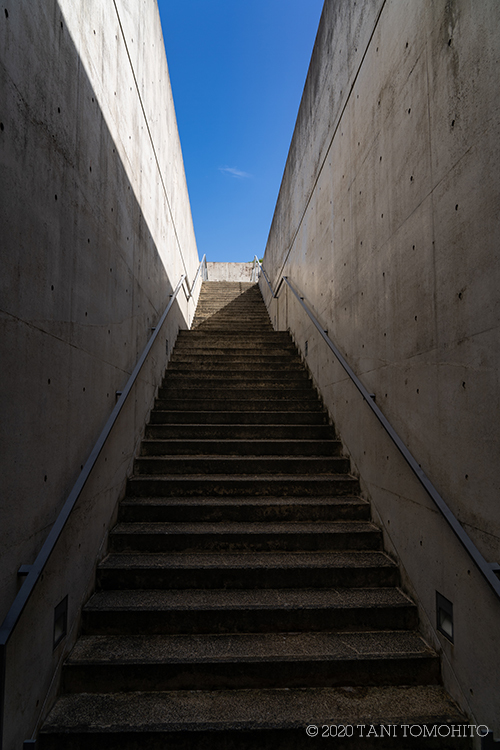 本福寺水御堂_d0039493_19082092.jpg