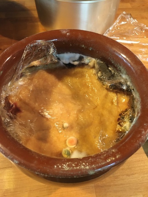寒仕込み手前味噌の天地返し_d0348118_11180911.jpeg