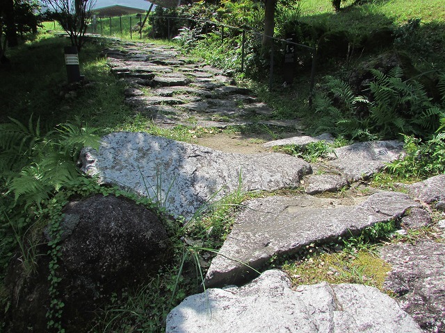 ミニお地蔵さんがお出迎え(その2)(撮影:8月9日)_e0321325_09360375.jpg