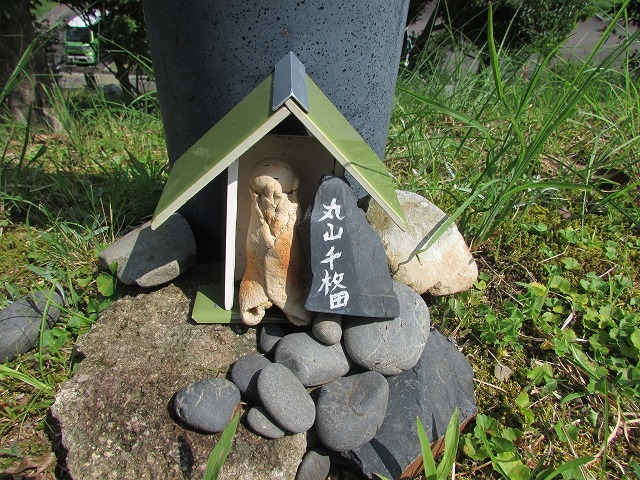 ミニお地蔵さんがお出迎え(その2)(撮影:8月9日)_e0321325_09403691.jpg