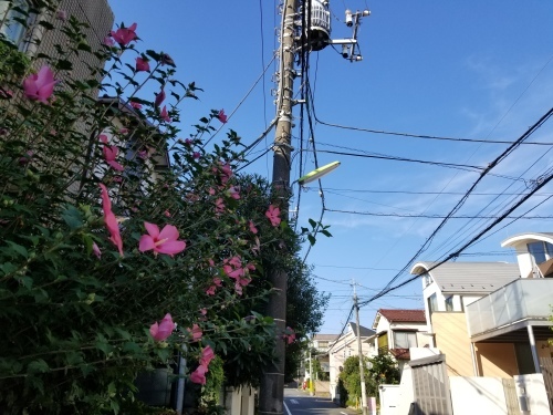 扇風機とサツマイモの入ったすき焼_e0016828_11265526.jpg