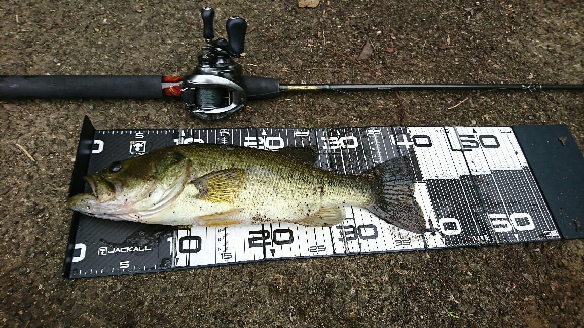 バス釣り27 Sasのバス釣り日記 バス釣り27 Sasのバス釣り日記