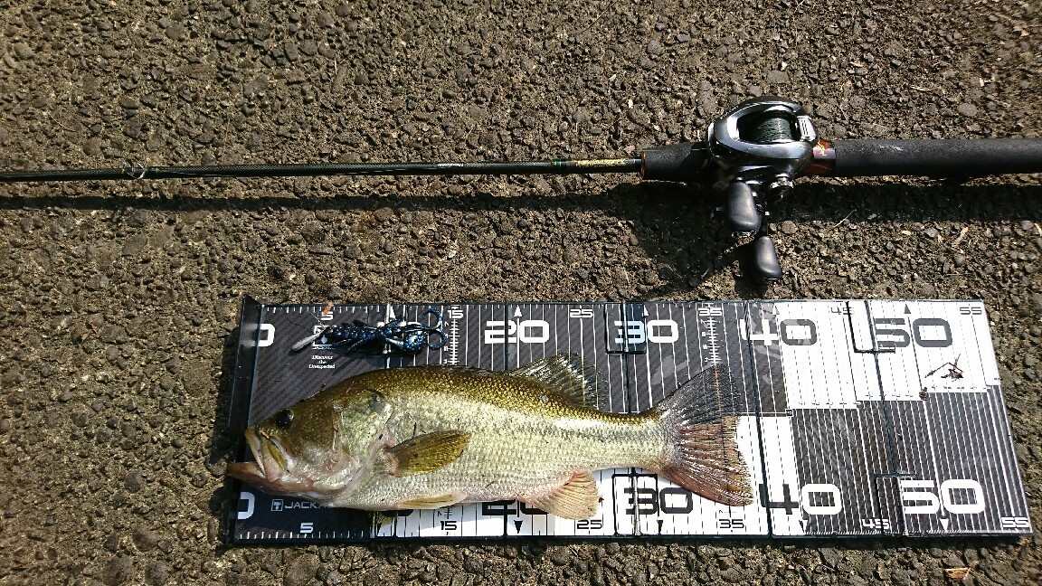 バス釣り27 Sasのバス釣り日記 バス釣り27 Sasのバス釣り日記