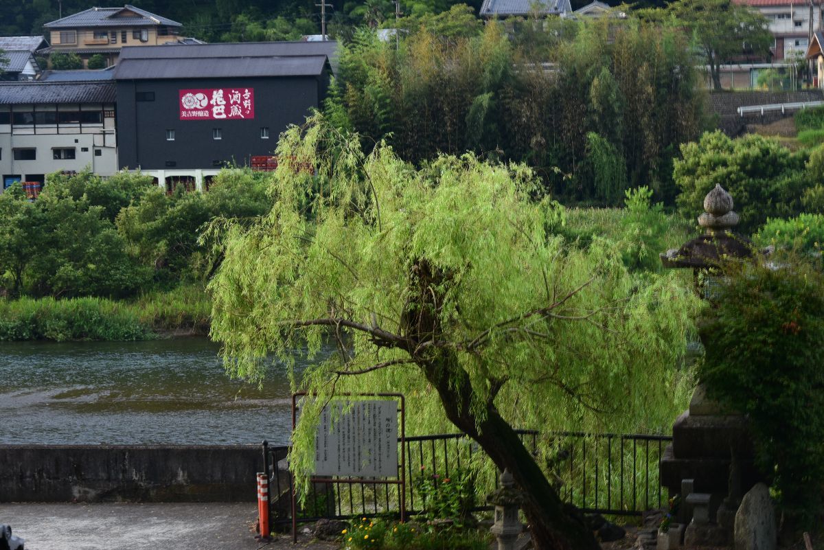 安禅寺と四方正面堂 奈良 桜井の歴史と社会
