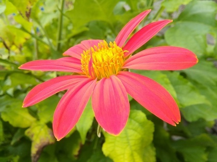 ウケツグ…_b0368362_05135257.jpg