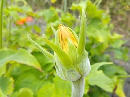 ウケツグ…_b0368362_05150643.jpg