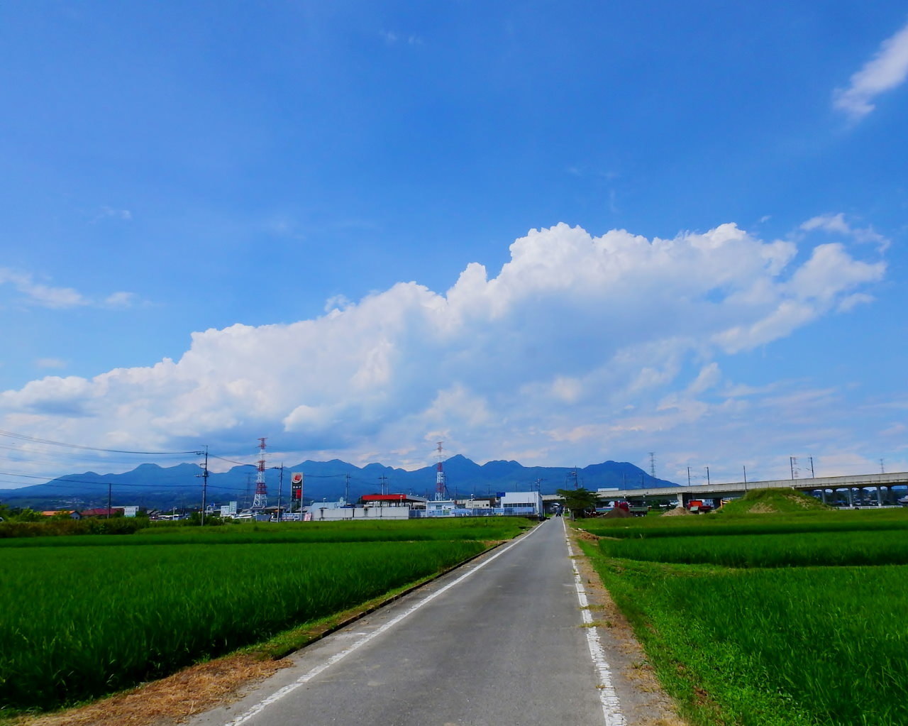 農道から夏雲など_c0305565_17414895.jpg