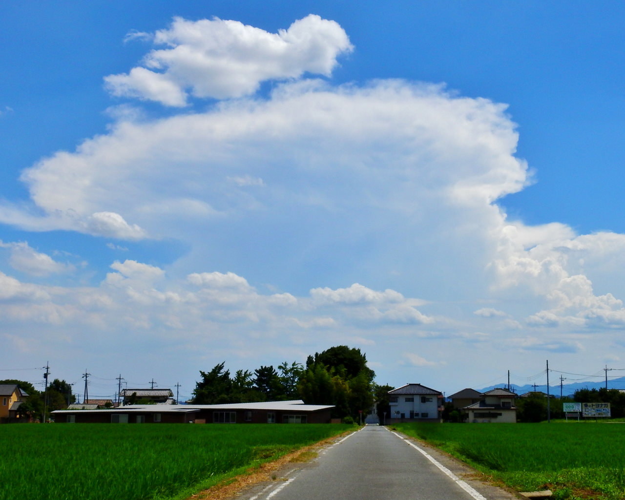 農道から夏雲など_c0305565_17420473.jpg