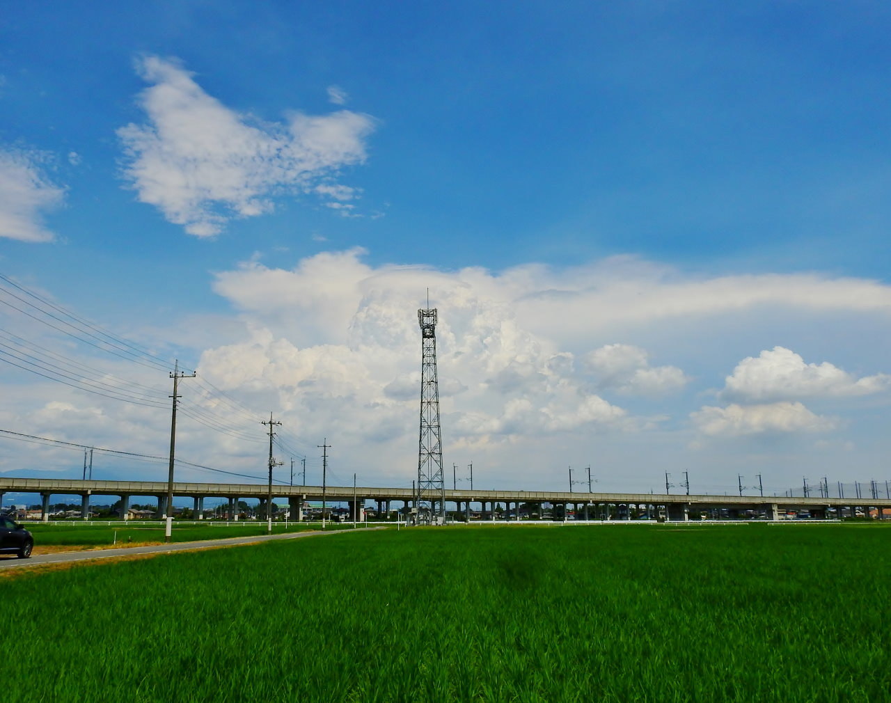 農道から夏雲など_c0305565_17421984.jpg