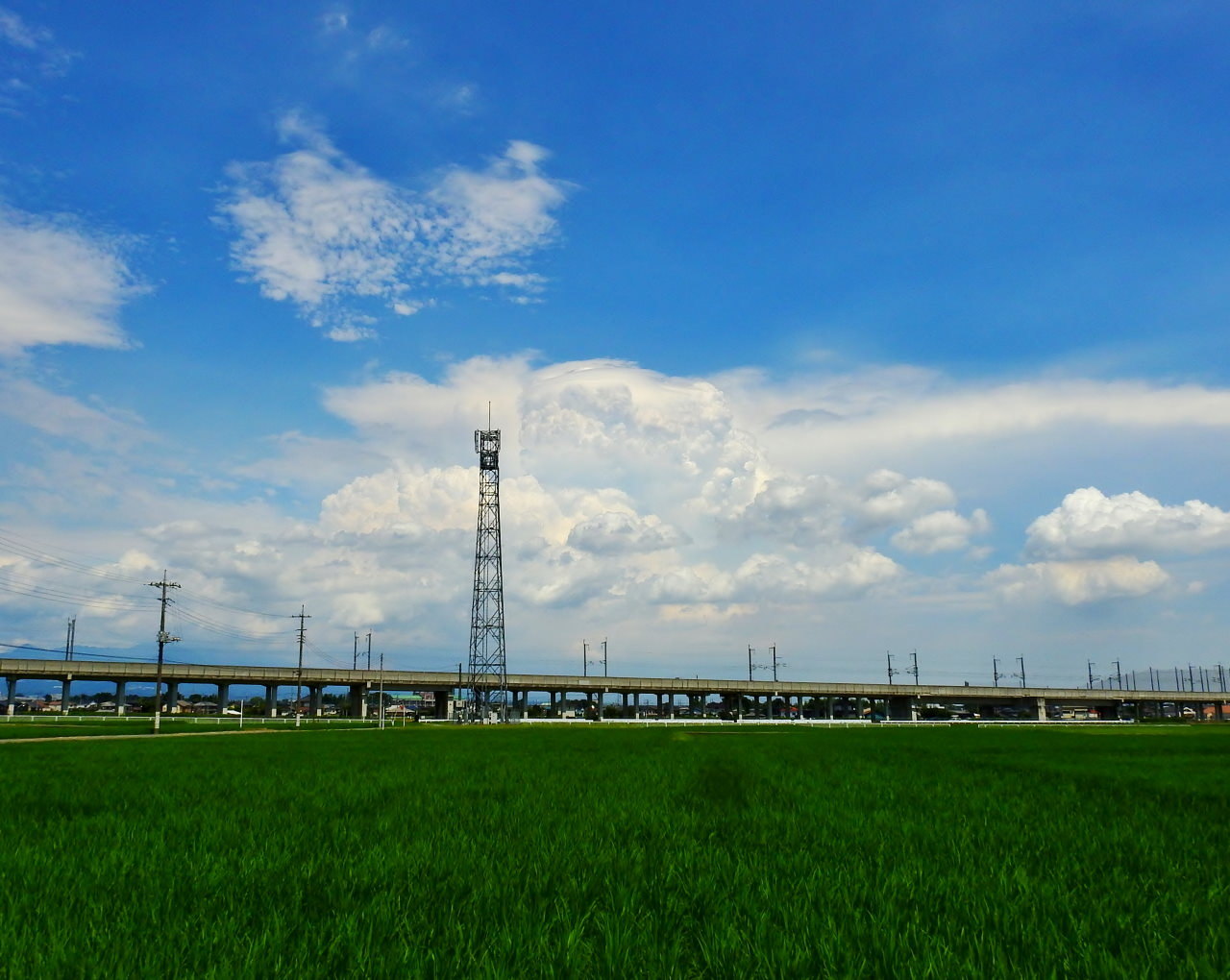 農道から夏雲など_c0305565_17430193.jpg