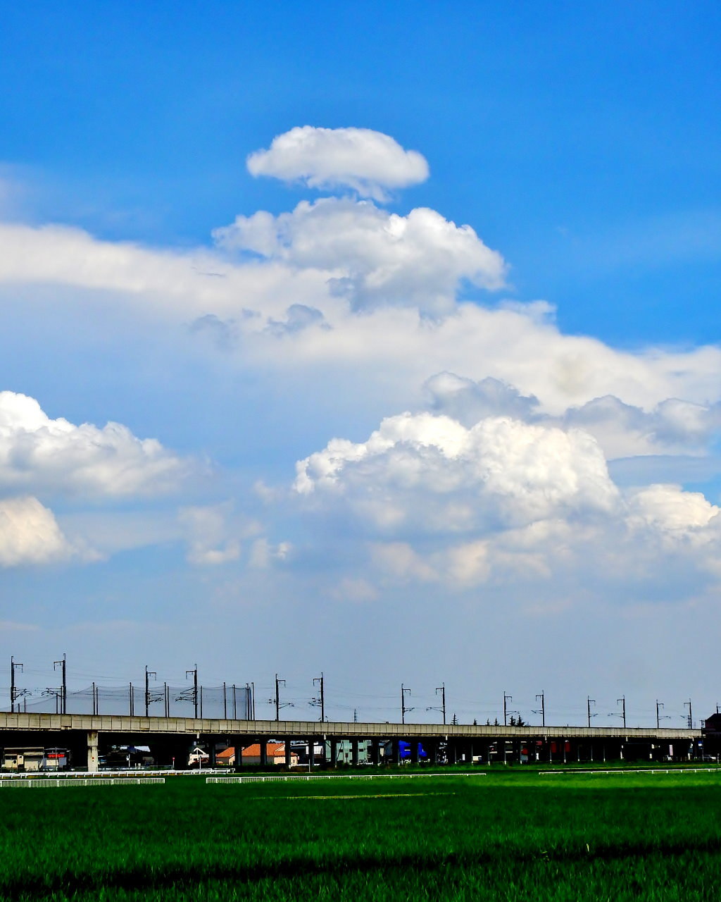 農道から夏雲など_c0305565_17431664.jpg