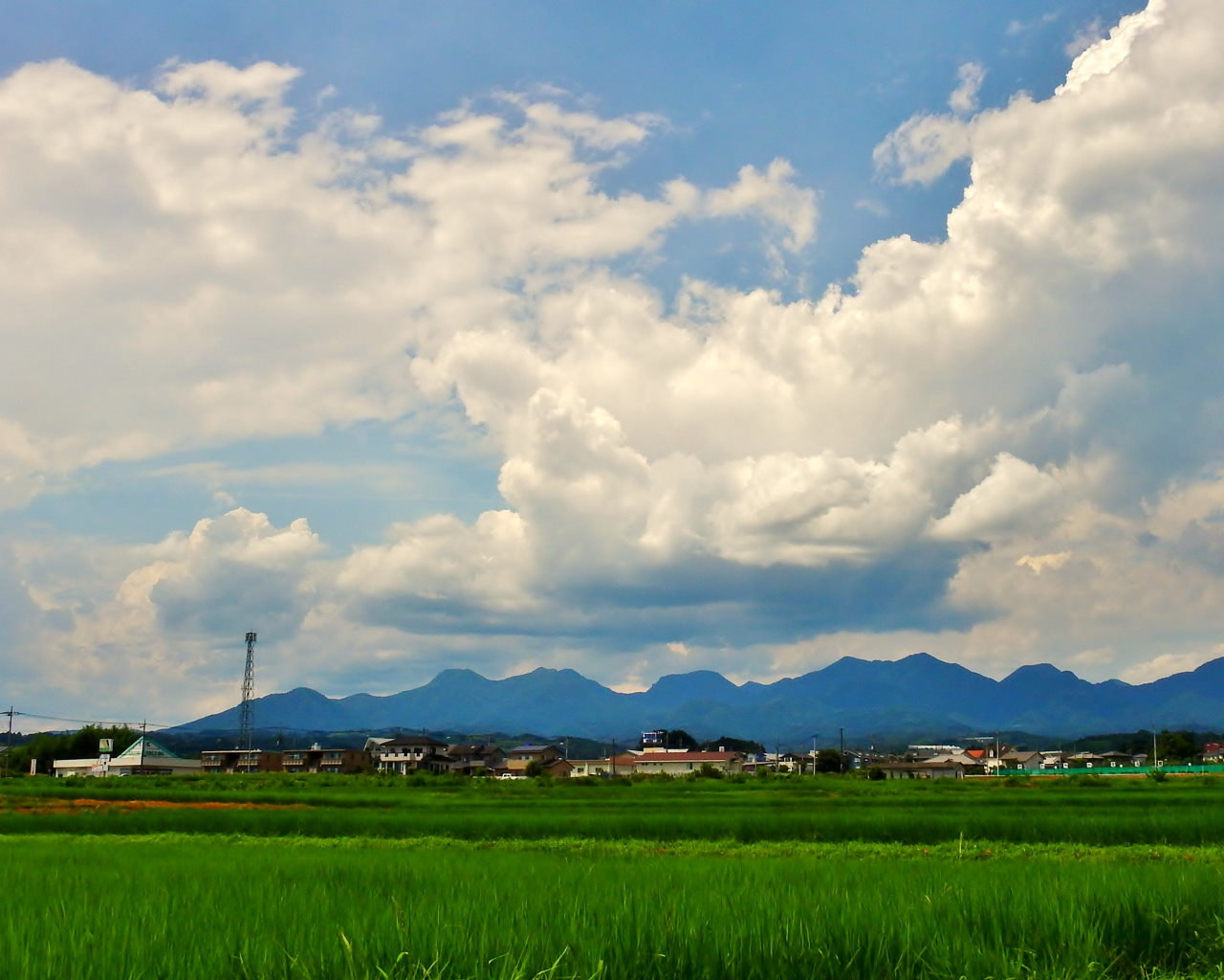 農道から夏雲など_c0305565_17435713.jpg