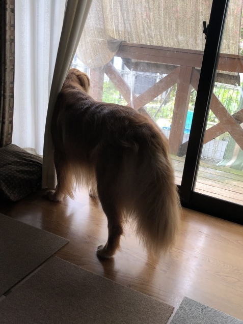 気配は、続く。_a0394574_10420331.jpeg