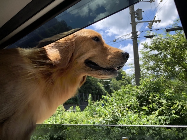 幸せ。_a0394574_22554943.jpeg