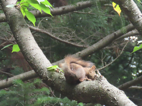 札幌へ戻りました_f0083977_22021938.jpg