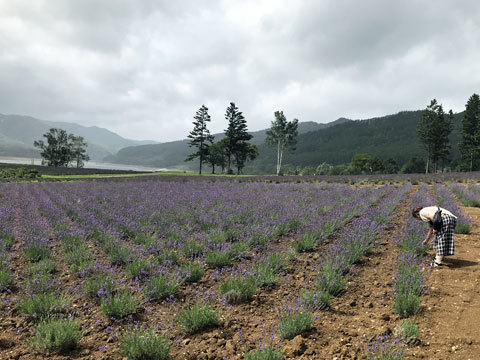 金山湖 富良野方面へ_f0083977_22142422.jpg