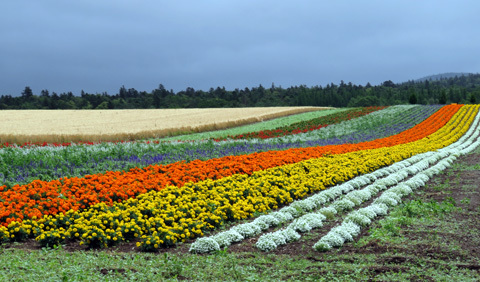 金山湖 富良野方面へ_f0083977_22145032.jpg