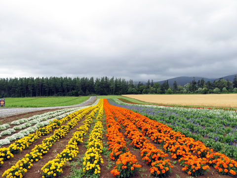 金山湖 富良野方面へ_f0083977_22150020.jpg