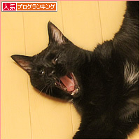 ヒナヒナ、回復への道_a0389088_08493505.jpg