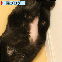ヒナヒナ、回復への道_a0389088_08493591.jpg