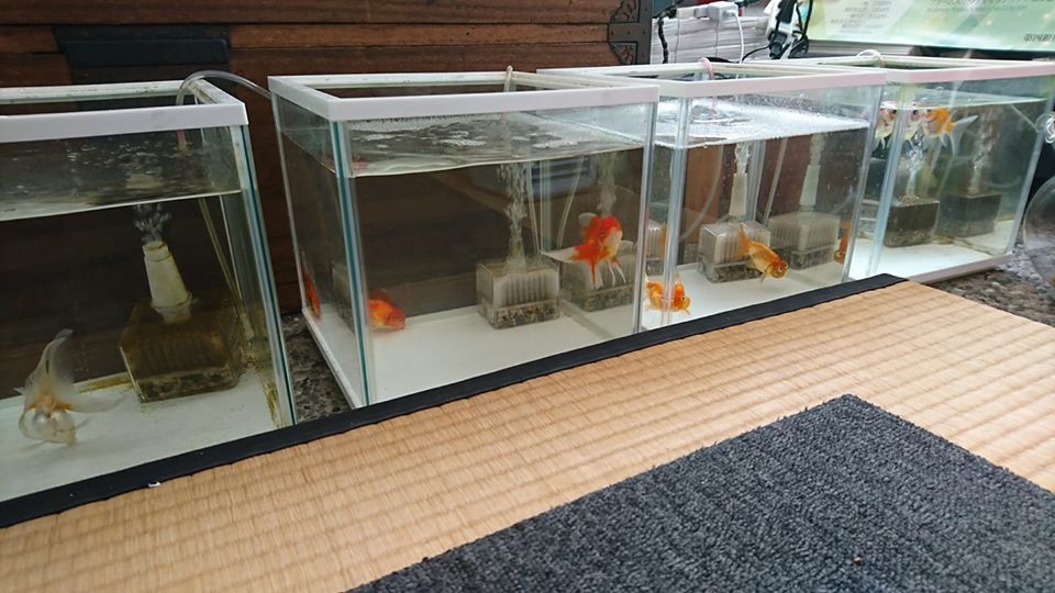 お盆!お休みのお知らせなどなど。_e0046190_17124651.jpg