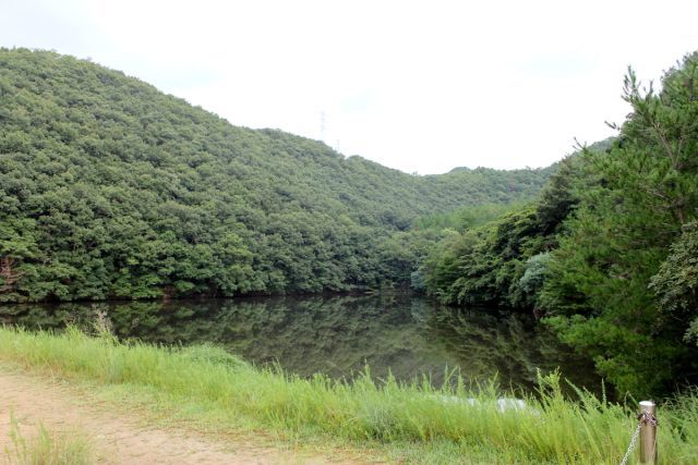 熊山登山 権現道コースを登る!の巻_f0325295_11474250.jpg