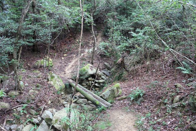 熊山登山 権現道コースを登る!の巻_f0325295_11475130.jpg