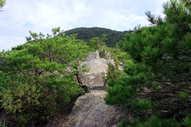 熊山登山 権現道コースを登る!の巻_f0325295_11475702.jpg
