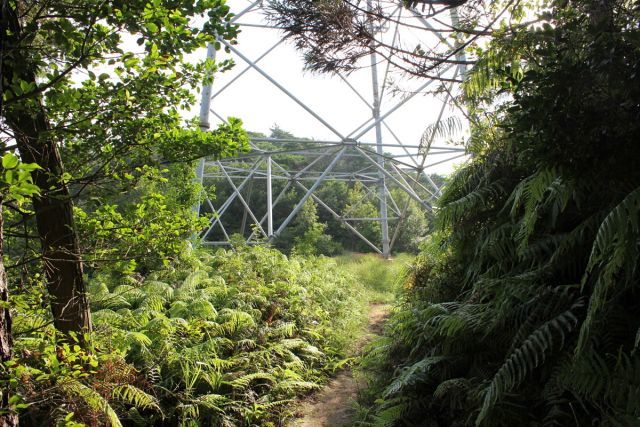 熊山登山 権現道コースを登る!の巻_f0325295_11480972.jpg