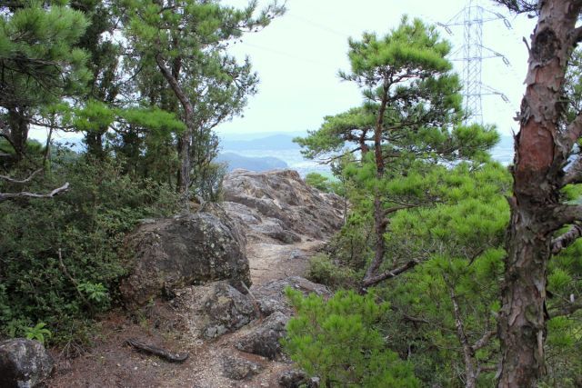 熊山登山 権現道コースを登る!の巻_f0325295_14160988.jpg