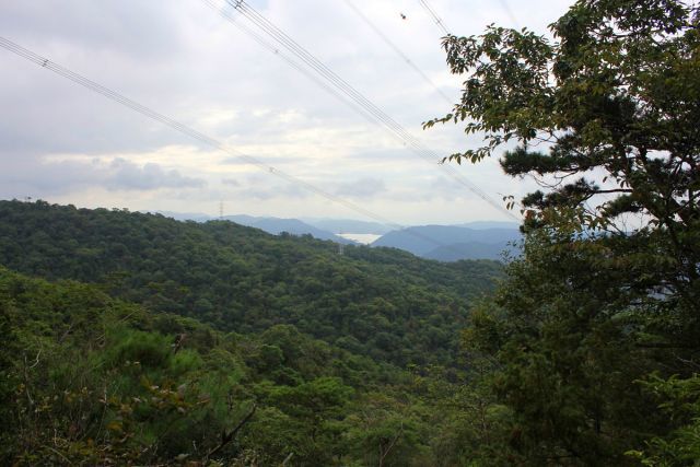 熊山登山 権現道コースを登る!の巻_f0325295_14335841.jpg