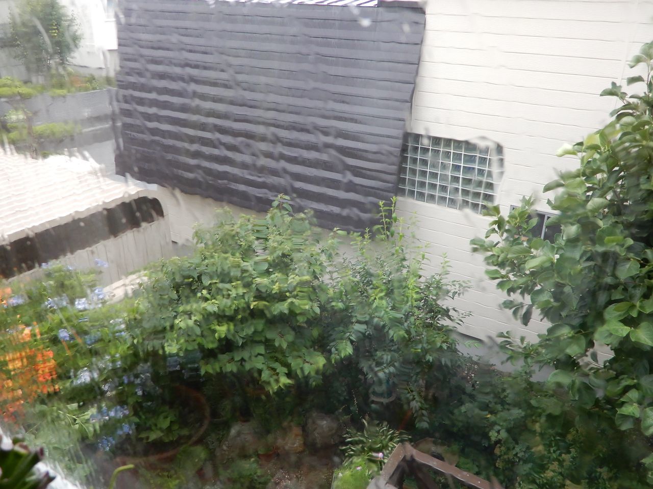 気温はどんどん低下_c0025115_22090745.jpg
