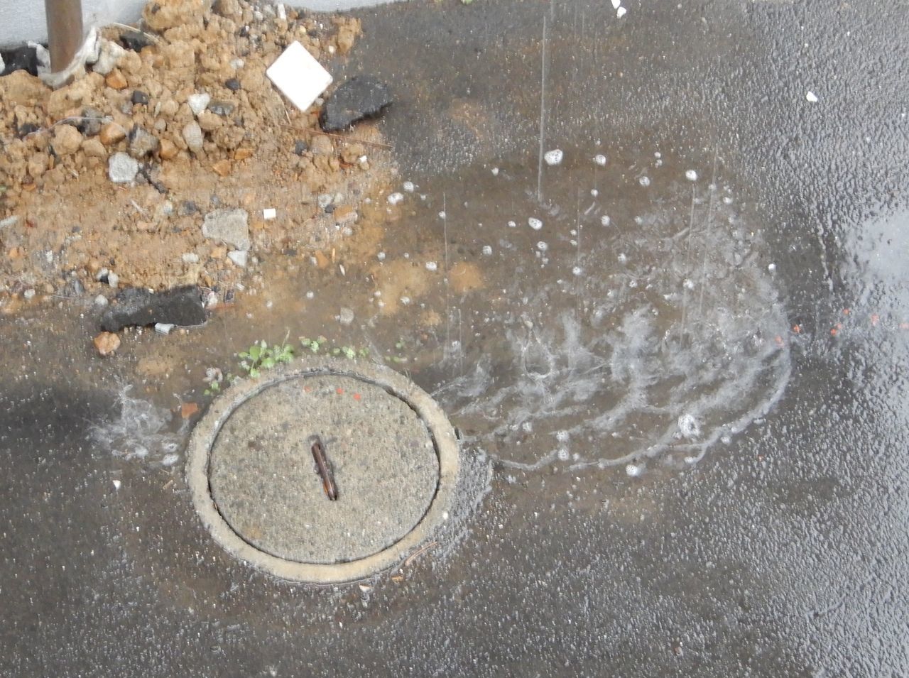 気温はどんどん低下_c0025115_22091679.jpg