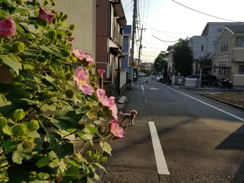 タワゴトです。_e0016828_10340252.jpg