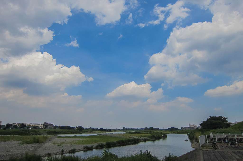 治されてきた多摩川の河川敷_f0044056_08505630.jpg