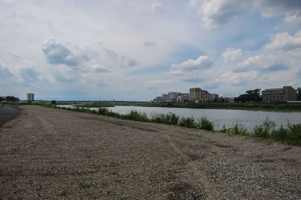 治されてきた多摩川の河川敷_f0044056_08542183.jpg