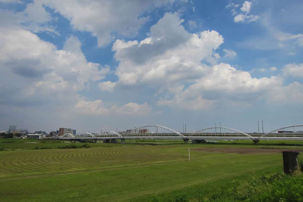 治されてきた多摩川の河川敷_f0044056_08562764.jpg